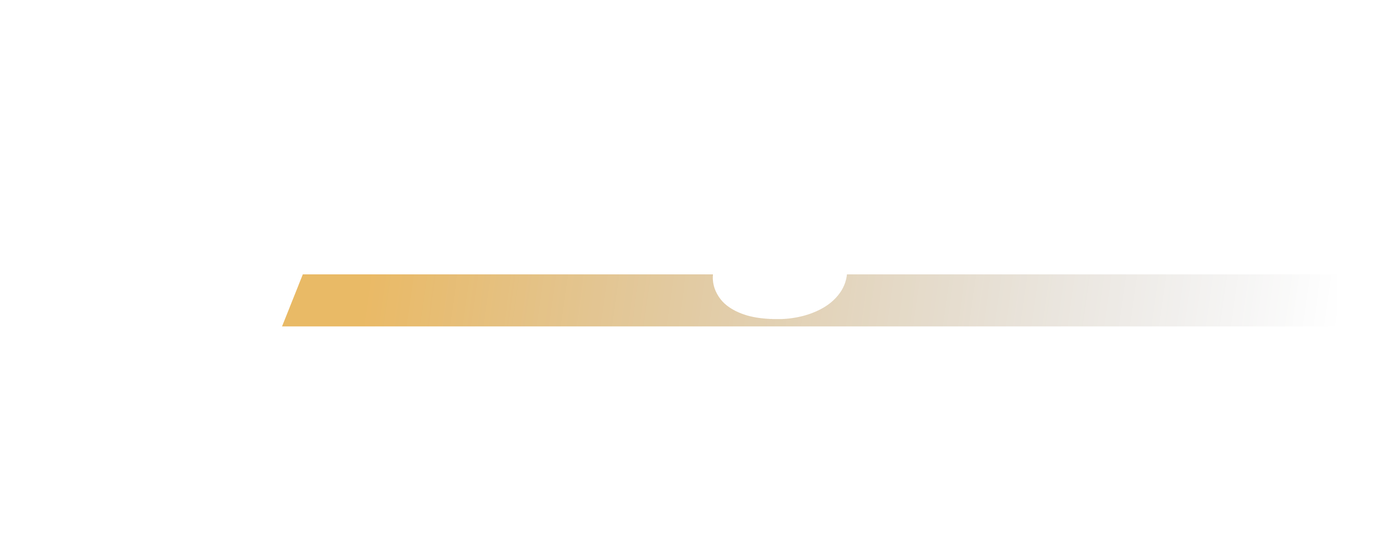 Enlighten Logo - White Yellow Bar