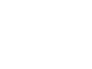 White Zarticon Logo