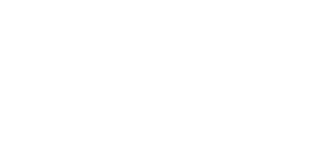 Z-Light White Web Logo