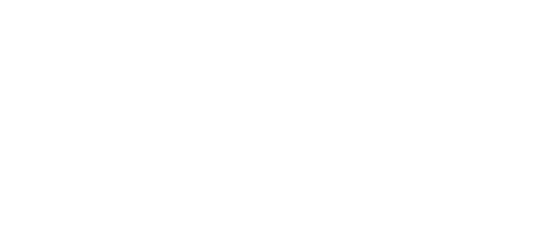 ZDOS State Logo - White